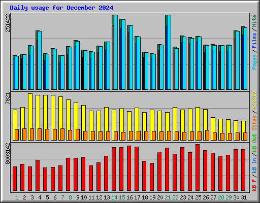 Daily usage for December 2024