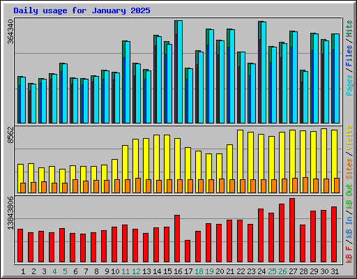 Daily usage for January 2025