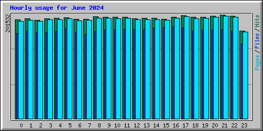 Hourly usage for June 2024