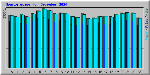 Hourly usage for December 2024