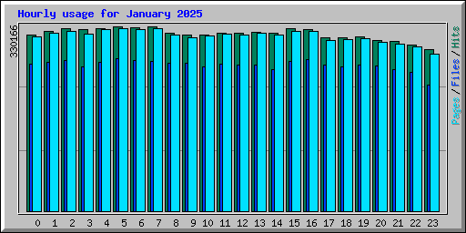 Hourly usage for January 2025