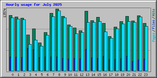 Hourly usage for July 2025