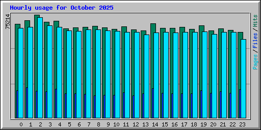 Hourly usage for October 2025