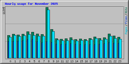 Hourly usage for November 2025