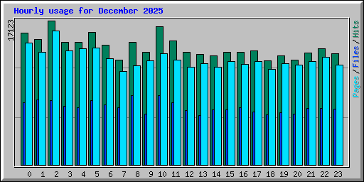 Hourly usage for December 2025
