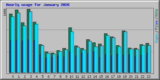 Hourly usage for January 2026