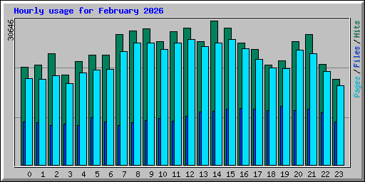 Hourly usage for February 2026