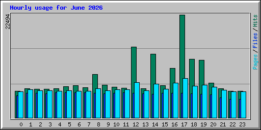 Hourly usage for June 2026