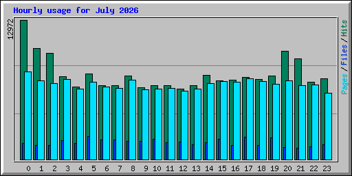Hourly usage for July 2026