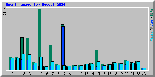 Hourly usage for August 2026