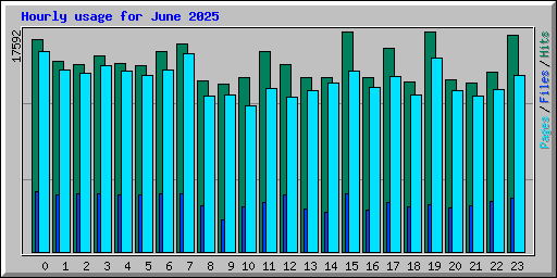 Hourly usage for June 2025