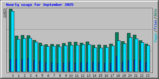 Hourly usage for September 2025